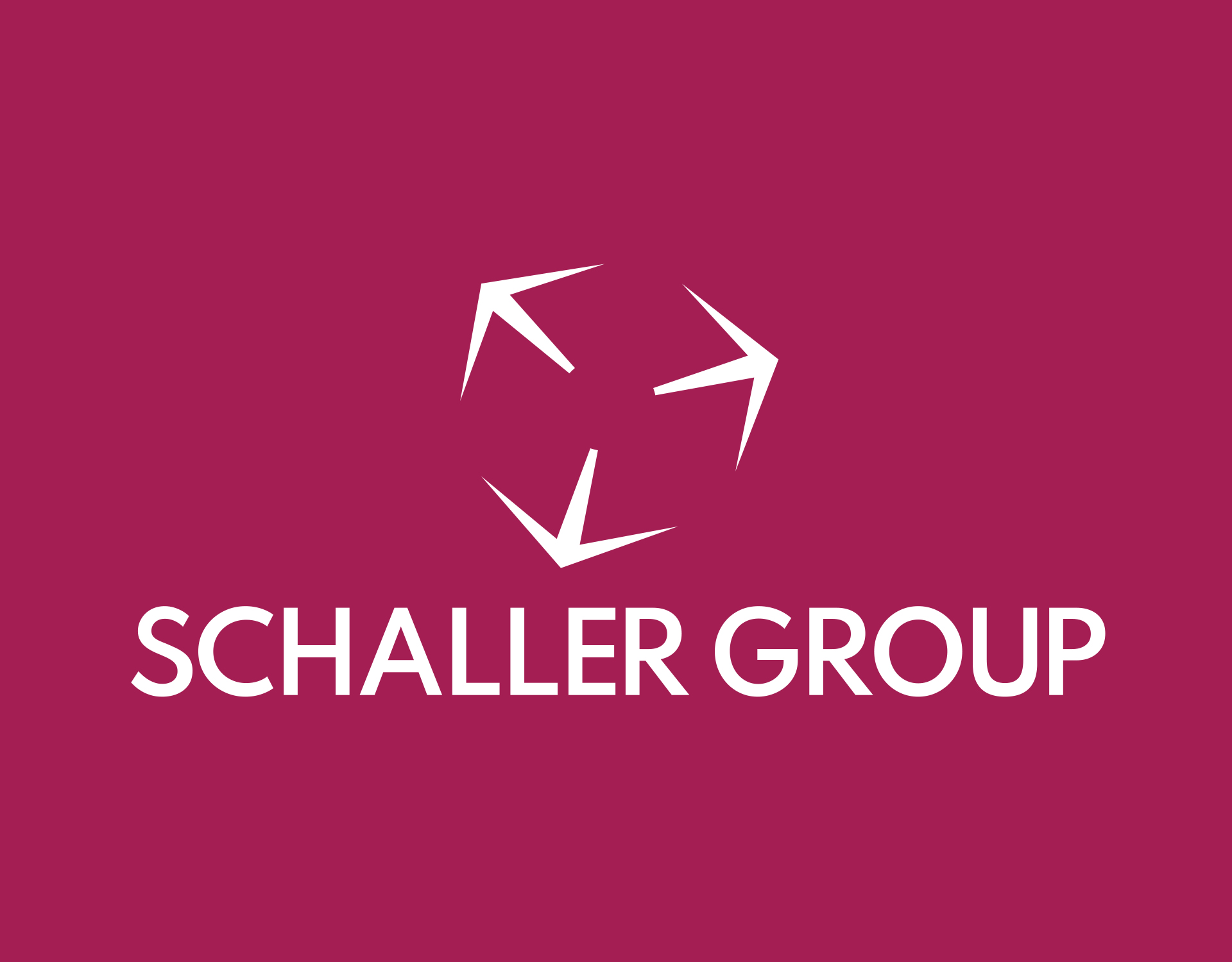 Schaller Group